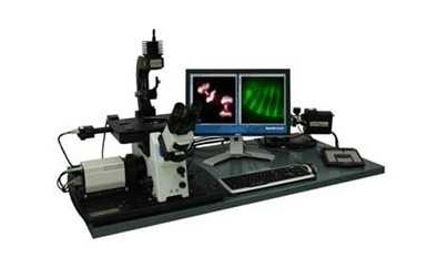 中国科学院上海生命科学研究院去卷积三维活细胞显微系统中标公告